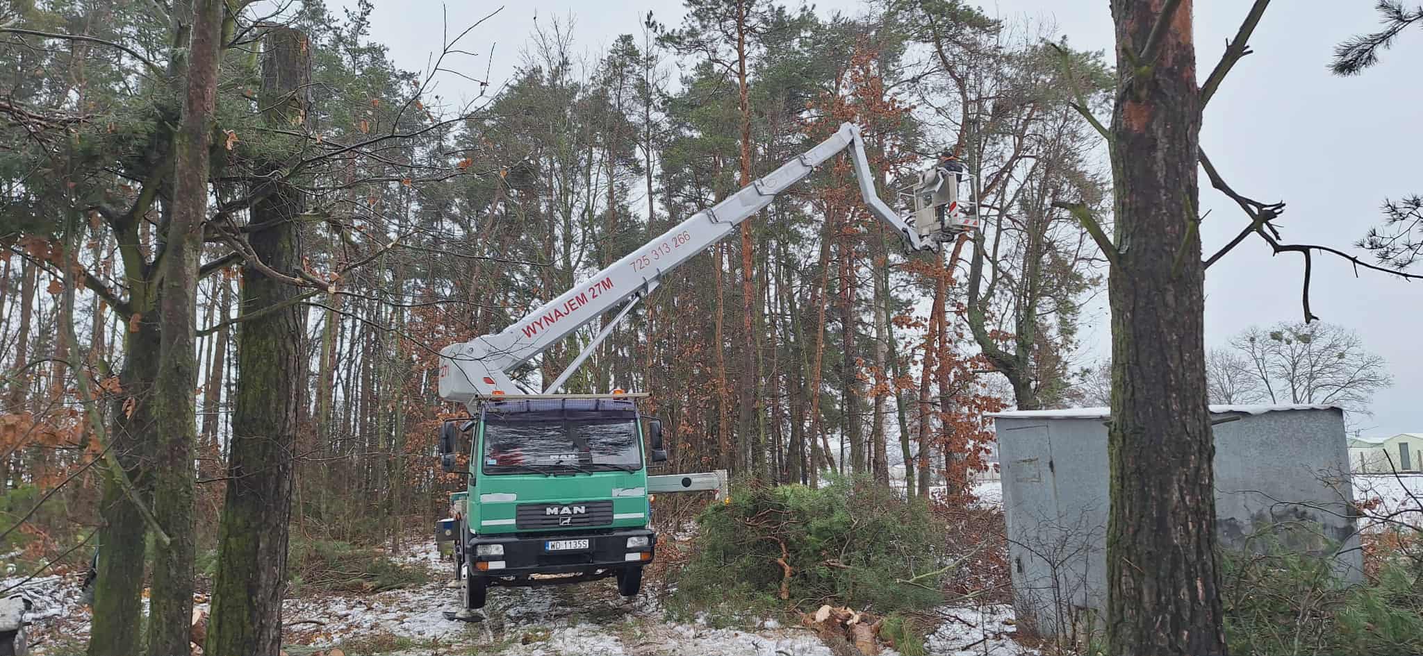 Wycinka z podnośnika
